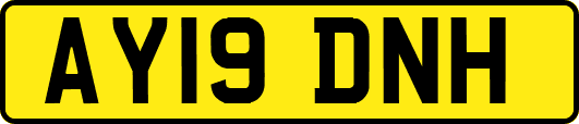 AY19DNH