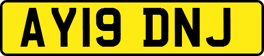 AY19DNJ