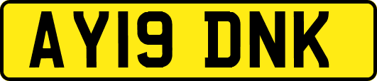 AY19DNK