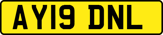 AY19DNL