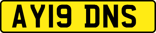 AY19DNS