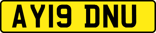 AY19DNU