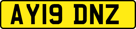 AY19DNZ