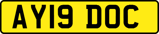 AY19DOC