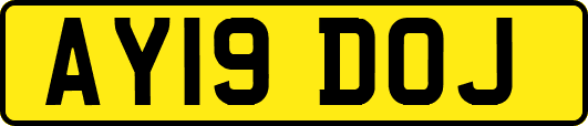 AY19DOJ