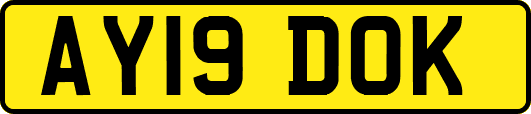 AY19DOK