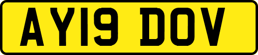 AY19DOV