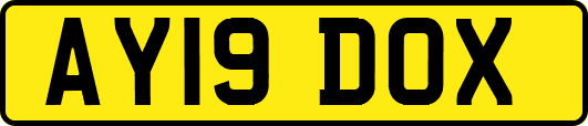 AY19DOX