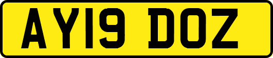 AY19DOZ