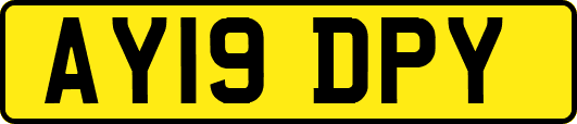 AY19DPY