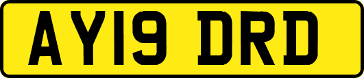 AY19DRD