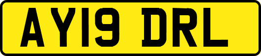 AY19DRL