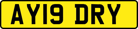AY19DRY