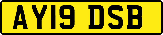 AY19DSB