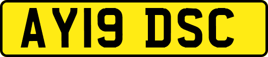 AY19DSC