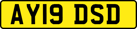 AY19DSD