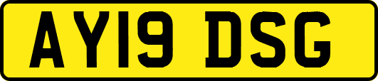 AY19DSG