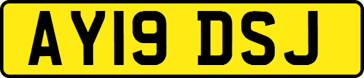 AY19DSJ