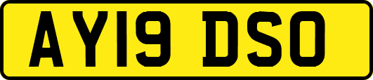 AY19DSO