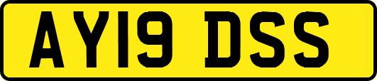 AY19DSS