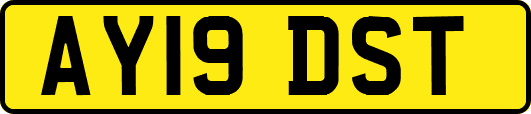 AY19DST