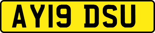 AY19DSU