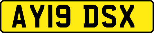 AY19DSX