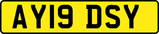 AY19DSY