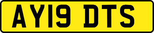 AY19DTS