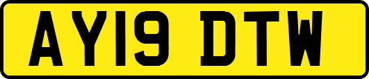 AY19DTW