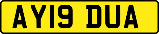 AY19DUA