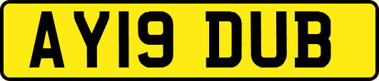 AY19DUB