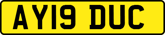 AY19DUC