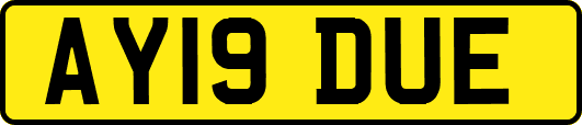 AY19DUE