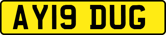 AY19DUG
