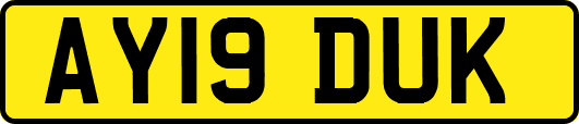 AY19DUK