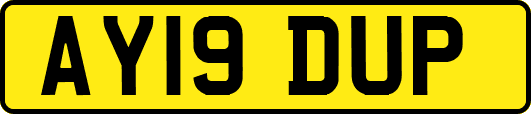 AY19DUP