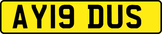 AY19DUS