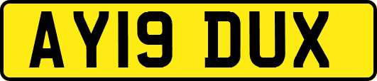 AY19DUX