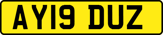 AY19DUZ