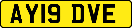 AY19DVE