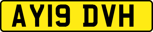 AY19DVH
