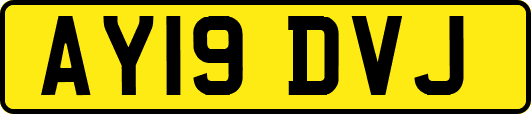 AY19DVJ