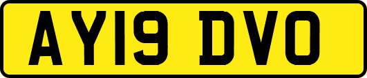 AY19DVO