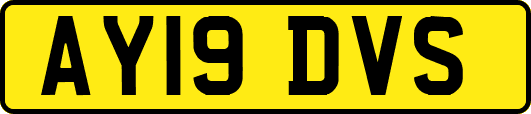 AY19DVS