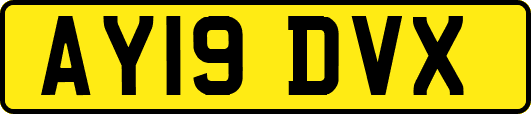 AY19DVX