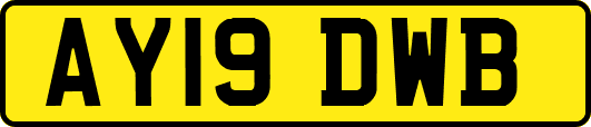 AY19DWB