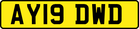 AY19DWD