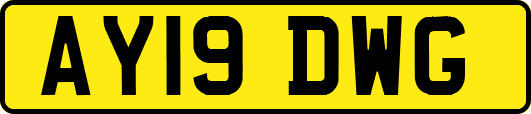 AY19DWG