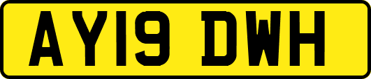 AY19DWH